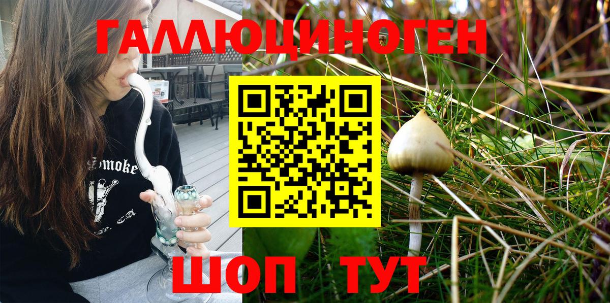 Псилоцибиновые грибы MAGIC MUSHROOMS Чапаевск