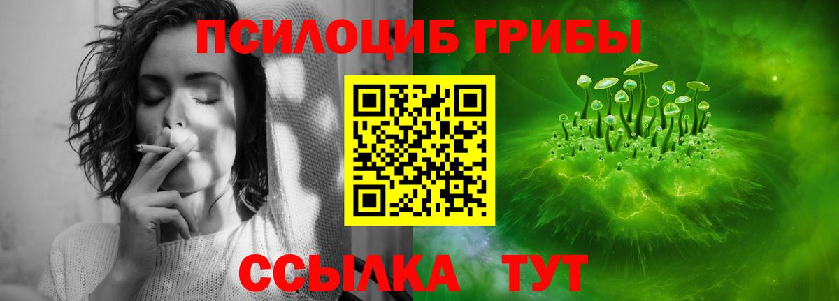 Чапаевск  Псилоцибиновые грибы Cubensis  Вход с VPN 